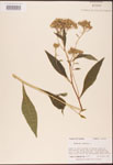 000002936-thumbnail.jpg