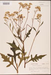 000002940-thumbnail.jpg