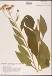 000002944-thumbnail.jpg