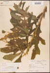 000002946-thumbnail.jpg