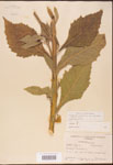 000002947-thumbnail.jpg
