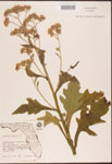 000002949-thumbnail.jpg