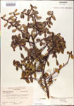 000002997-thumbnail.jpg