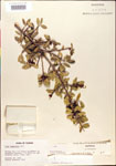 000002998-thumbnail.jpg