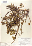 000003010-thumbnail.jpg