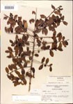 000003012-thumbnail.jpg