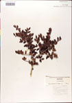 000003013-thumbnail.jpg