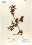 000003017-thumbnail.jpg