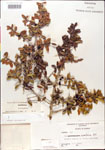 000003019-thumbnail.jpg