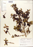 000003020-thumbnail.jpg