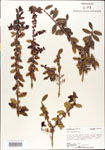 000003021-thumbnail.jpg