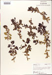 000003022-thumbnail.jpg