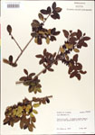 000003023-thumbnail.jpg