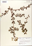 000003024-thumbnail.jpg