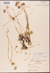 000003025-thumbnail.jpg