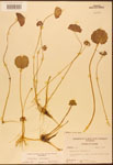 000003026-thumbnail.jpg