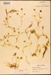 000003027-thumbnail.jpg