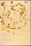 000003028-thumbnail.jpg