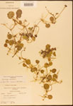 000003029-thumbnail.jpg