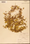 000003030-thumbnail.jpg
