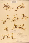 000003032-thumbnail.jpg