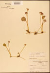 000003033-thumbnail.jpg
