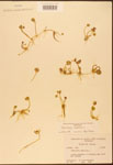 000003034-thumbnail.jpg