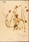 000003035-thumbnail.jpg
