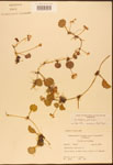 000003037-thumbnail.jpg
