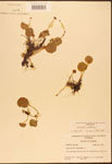 000003038-thumbnail.jpg