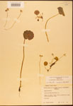 000003039-thumbnail.jpg
