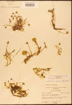 000003040-thumbnail.jpg