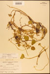 000003041-thumbnail.jpg