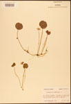 000003042-thumbnail.jpg