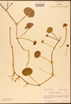 000003043-thumbnail.jpg