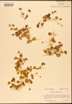 000003044-thumbnail.jpg