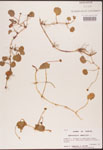 000003045-thumbnail.jpg