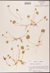 000003046-thumbnail.jpg
