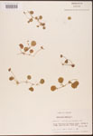 000003047-thumbnail.jpg
