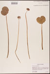 000003048-thumbnail.jpg