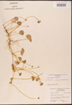 000003049-thumbnail.jpg