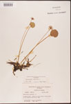 000003051-thumbnail.jpg