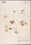 000003052-thumbnail.jpg