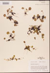 000003053-thumbnail.jpg