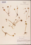 000003054-thumbnail.jpg