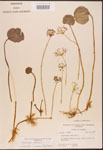000003056-thumbnail.jpg