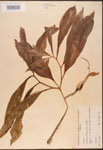 000003074-thumbnail.jpg