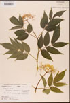 000003083-thumbnail.jpg