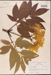 000003088-thumbnail.jpg