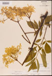 000003089-thumbnail.jpg